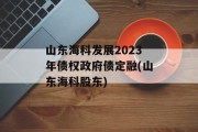 山东海科发展2023年债权政府债定融(山东海科股东)
