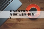 山东海科发展2023年债权(山东海科股东)