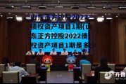 山东正方控股2022债权资产项目1期(山东正方控股2022债权资产项目1期是多少)