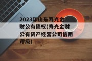2023年山东寿光金财公有债权(寿光金财公有资产经营公司信用评级)
