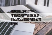 重庆鸿业实业2023年债权资产项目(重庆鸿业实业集团有限公司评级)
