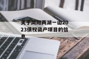 关于简阳两湖一山2023债权资产项目的信息