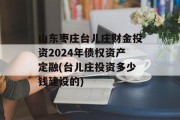 山东枣庄台儿庄财金投资2024年债权资产定融(台儿庄投资多少钱建设的)