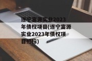 遂宁富源实业2023年债权项目(遂宁富源实业2023年债权项目招标)