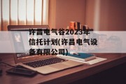 许昌电气谷2023年信托计划(许昌电气设备有限公司)