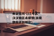 央企信托-111号武汉汉南区永续债(永续债投资到期日)