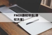 FNGX债权项目(债权方案)