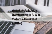 山东省青岛市2024年政信项目(山东省青岛市2024年政信项目招标)