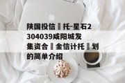陕国投信‬托-星石2304039咸阳城发集资合‬金信计托‬划的简单介绍