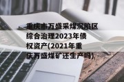 重庆市万盛采煤沉陷区综合治理2023年债权资产(2021年重庆万盛煤矿还生产吗)