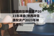 陕西政信债权资产2023年项目(陕西政信债权资产2023年项目招标)