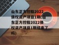 山东正方控股2022债权资产项目1期(山东正方控股2022债权资产项目1期结束了吗)