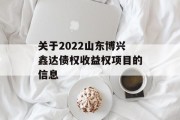 关于2022山东博兴鑫达债权收益权项目的信息
