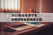 2023年山东济宁兖州债权项目的简单介绍