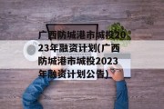 广西防城港市城投2023年融资计划(广西防城港市城投2023年融资计划公告)