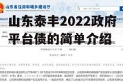 山东泰丰2022政府平台债的简单介绍