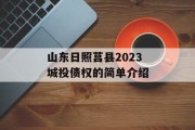 山东日照莒县2023城投债权的简单介绍