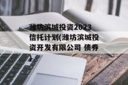 潍坊滨城投资2023信托计划(潍坊滨城投资开发有限公司 债券)