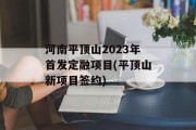 河南平顶山2023年首发定融项目(平顶山新项目签约)