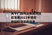 关于广西凤山县鑫凤投资发展2023年债权收益权项目的信息