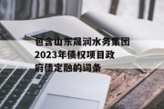 包含山东晟润水务集团2023年债权项目政府债定融的词条