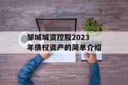 邹城城资控股2023年债权资产的简单介绍