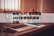 山东（LY）管网建设2023年债权的简单介绍
