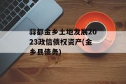 蒜都金乡土地发展2023政信债权资产(金乡县债务)