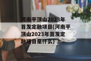 河南平顶山2023年首发定融项目(河南平顶山2023年首发定融项目是什么)