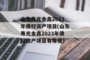 山东寿光金鑫2023年债权资产项目(山东寿光金鑫2023年债权资产项目有哪些)