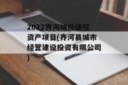 2022齐河城投债权资产项目(齐河县城市经营建设投资有限公司)