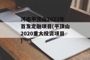 河南平顶山2023年首发定融项目(平顶山2020重大投资项目)