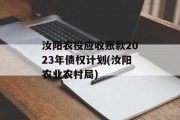 汝阳农投应收账款2023年债权计划(汝阳农业农村局)