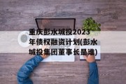 重庆彭水城投2023年债权融资计划(彭水城投集团董事长是谁)