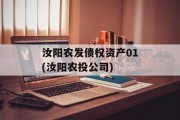 汝阳农发债权资产01(汝阳农投公司)