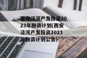 西安泾河产发投资2023年融资计划(西安泾河产发投资2023年融资计划公告)