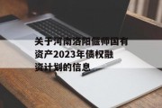 关于河南洛阳偃师国有资产2023年债权融资计划的信息