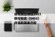 山东阳信城投2023债权拍卖（0458）项目的简单介绍