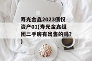 寿光金鑫2023债权资产01(寿光金鑫组团二手房有出售的吗?)