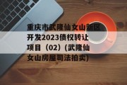 重庆市武隆仙女山新区开发2023债权转让项目（02）(武隆仙女山房屋司法拍卖)