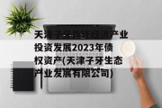 天津子牙循环经济产业投资发展2023年债权资产(天津子牙生态产业发展有限公司)