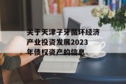 关于天津子牙循环经济产业投资发展2023年债权资产的信息