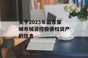 关于2023年山东邹城市城资控股债权资产的信息