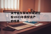 关于山东邹城市城资控股2023年债权资产的信息
