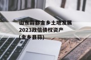 山东蒜都金乡土地发展2023政信债权资产(金乡县蒜)