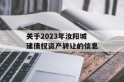 关于2023年汝阳城建债权资产转让的信息