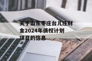 关于山东枣庄台儿庄财金2024年债权计划项目的信息