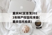 重庆NC区首发2023年财产权信托项目(重庆信托拍卖)
