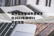 关于山东邹城市圣城文化2023年债权01号的信息