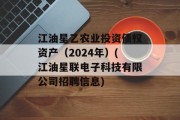 江油星乙农业投资债权资产（2024年）(江油星联电子科技有限公司招聘信息)